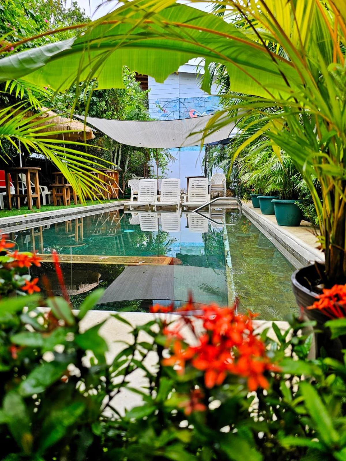 Bellavista Suites By Villas Verdes - Samara Beach Extérieur photo