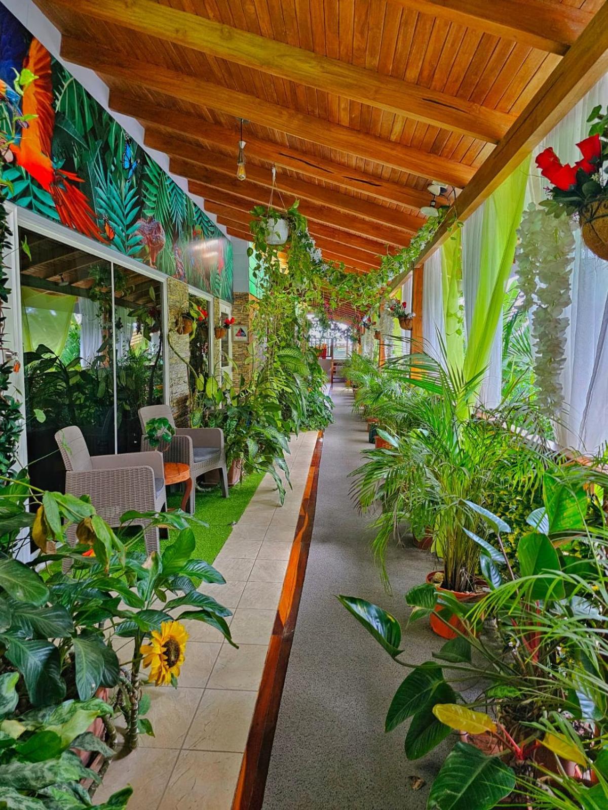 Bellavista Suites By Villas Verdes - Samara Beach Extérieur photo