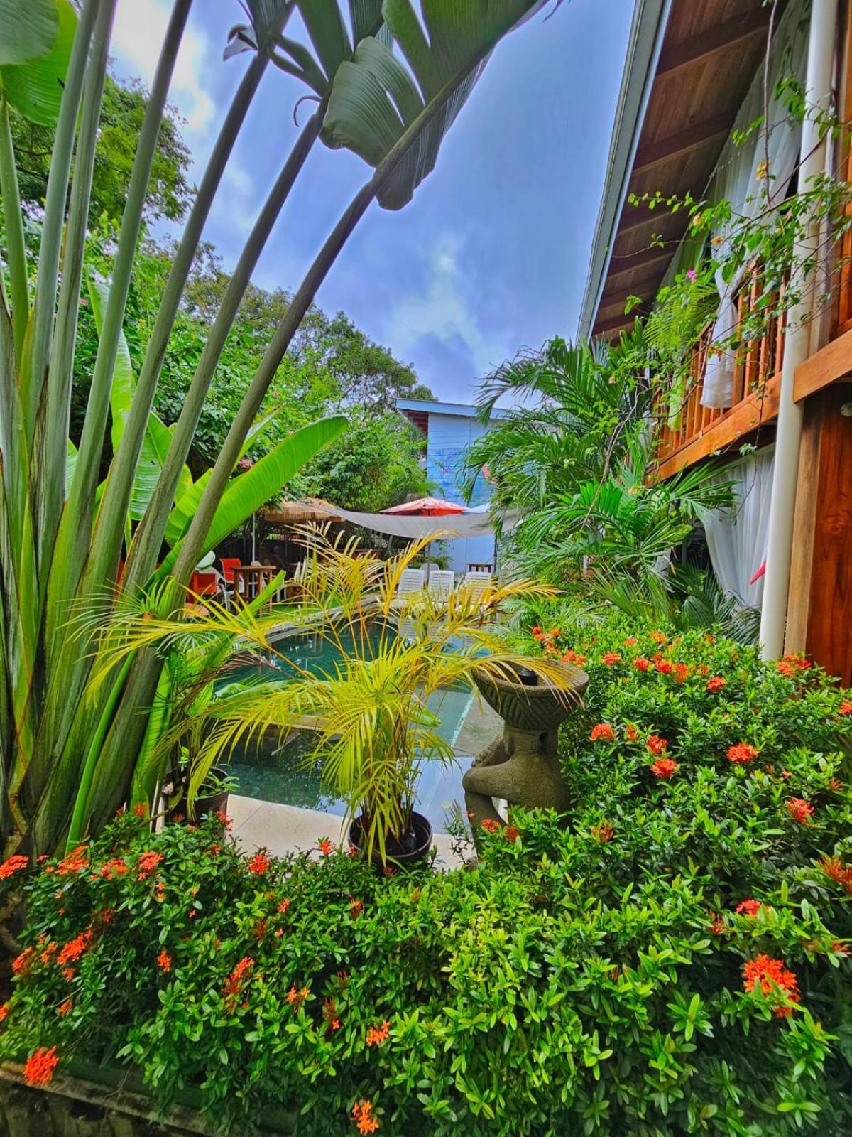 Bellavista Suites By Villas Verdes - Samara Beach Extérieur photo